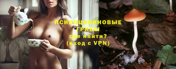 а пвп мука Верхний Тагил