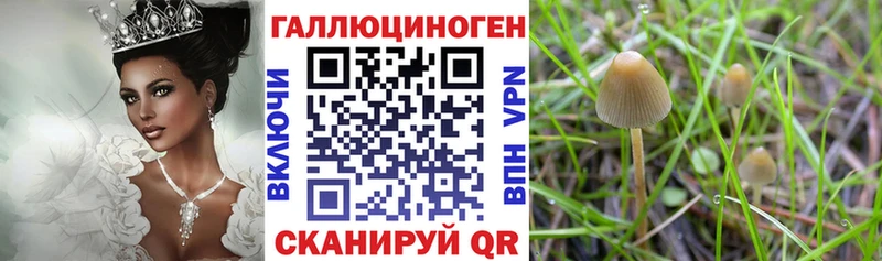 Псилоцибиновые грибы Psilocybe  MEGA ССЫЛКА  Полтавская 